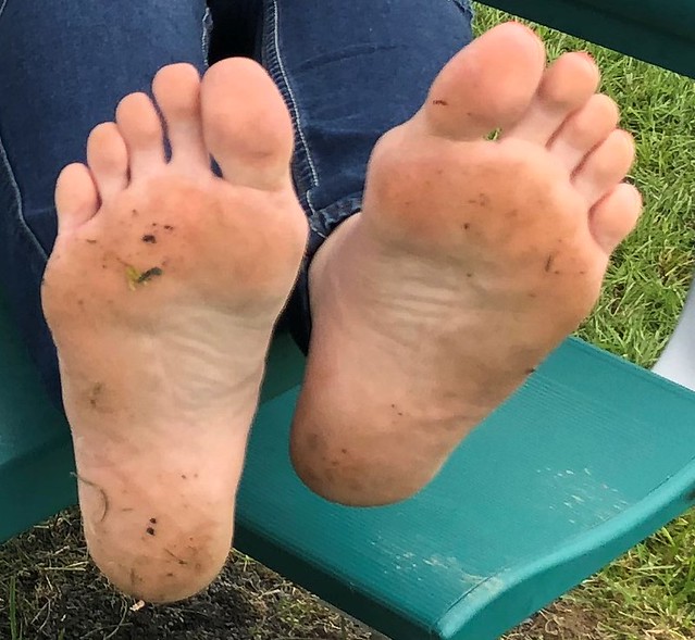 Latina Feet Worship gianna michaels feet dillion petite