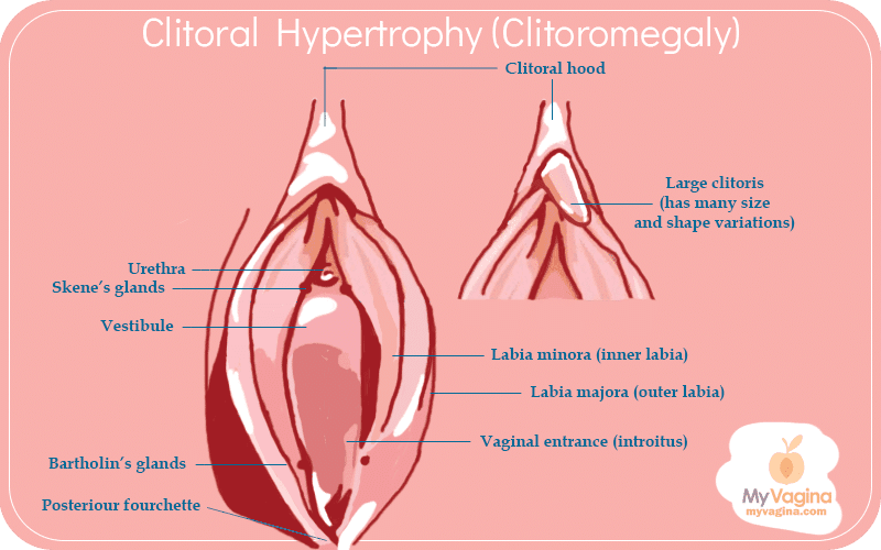 atikah zakaria recommends biggest clitoris adriano robinson add biggest clitoris image