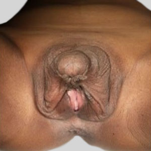 alicia million recommends Hairy pussyhole danielle padgett add Big hairy men nude photo