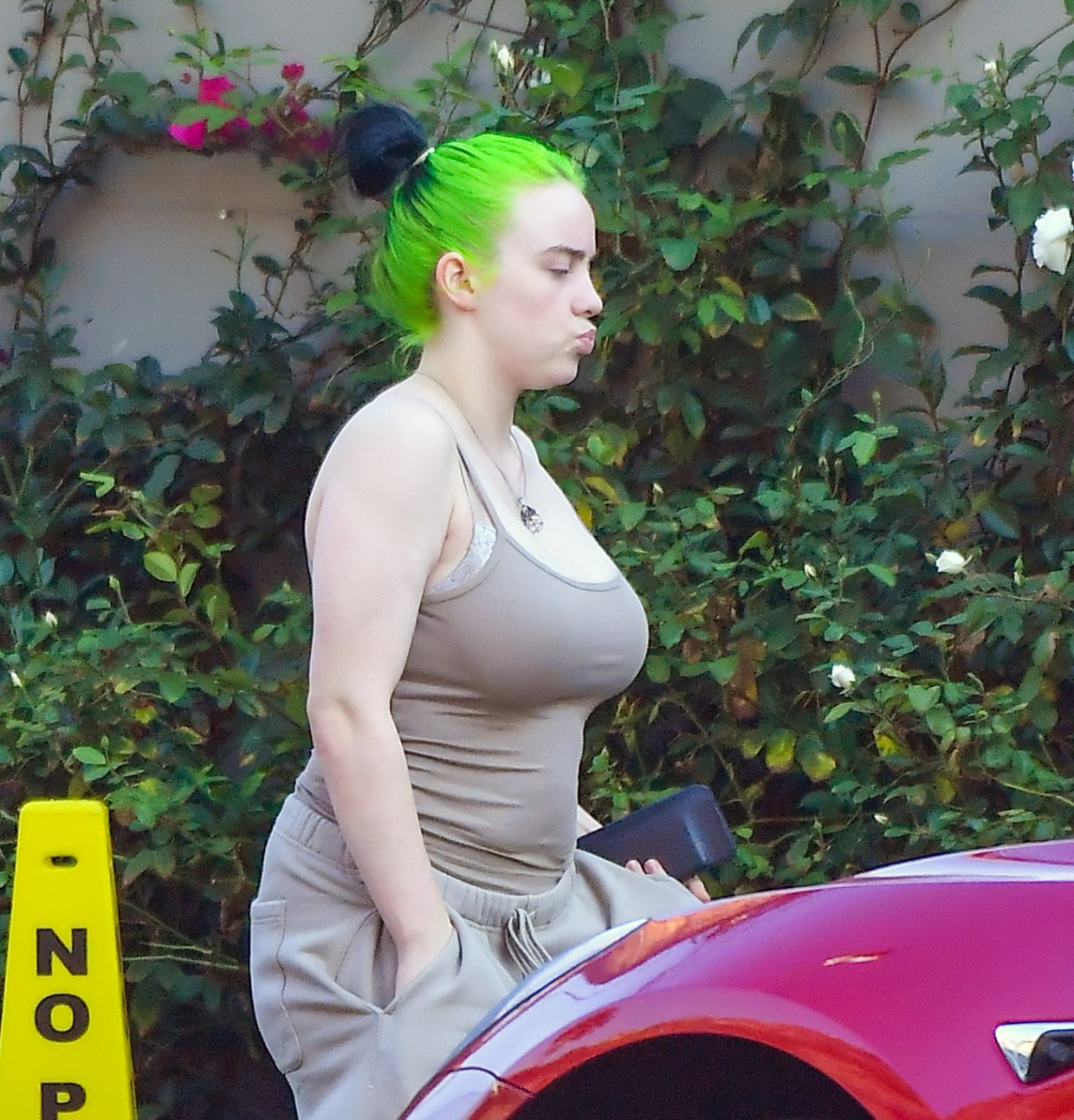 Billie Eilish Thicc mom cory chase maya nerd porn