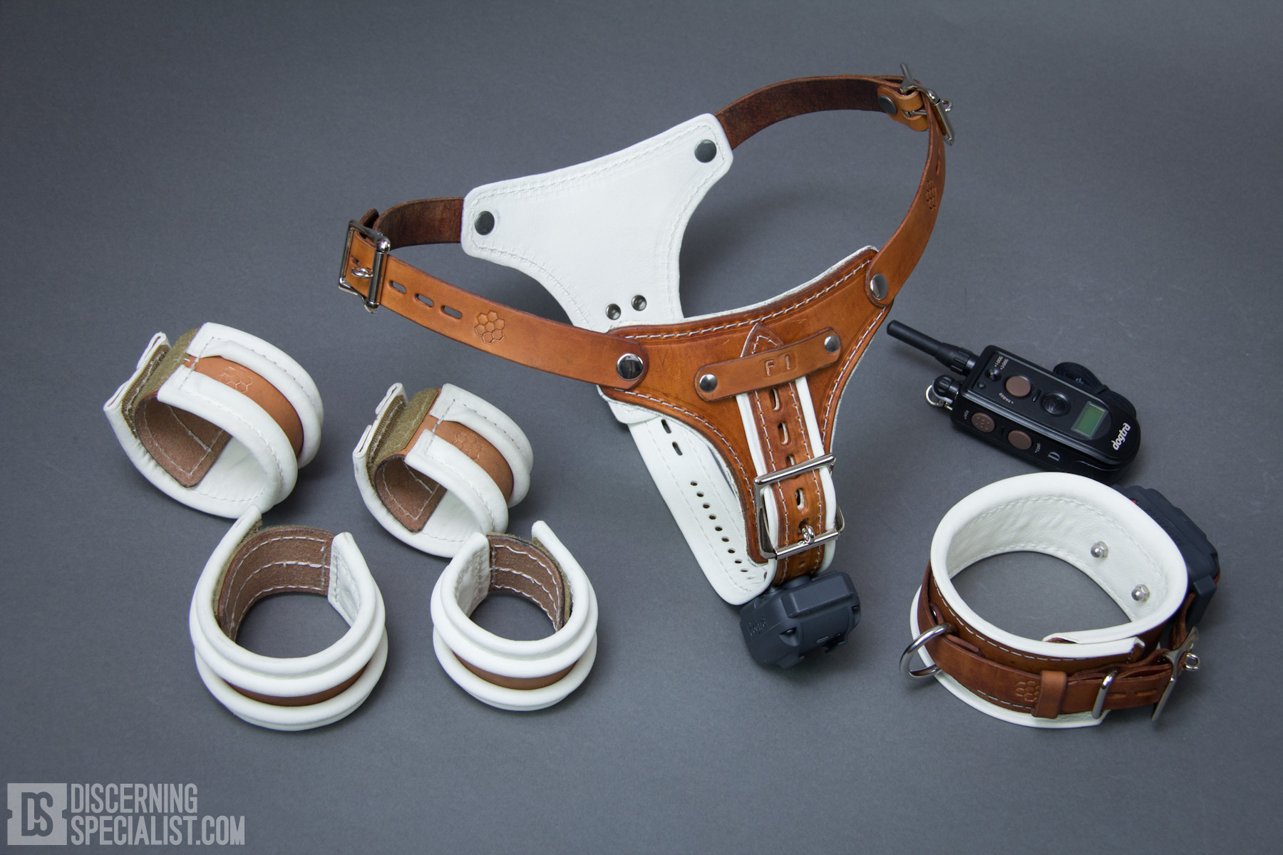 camille harris recommends Las vegas escort videos david grunsell add shock collar bdsm photo