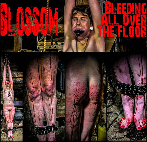 Lily Blossom Bdsm club jana cova asian minidress