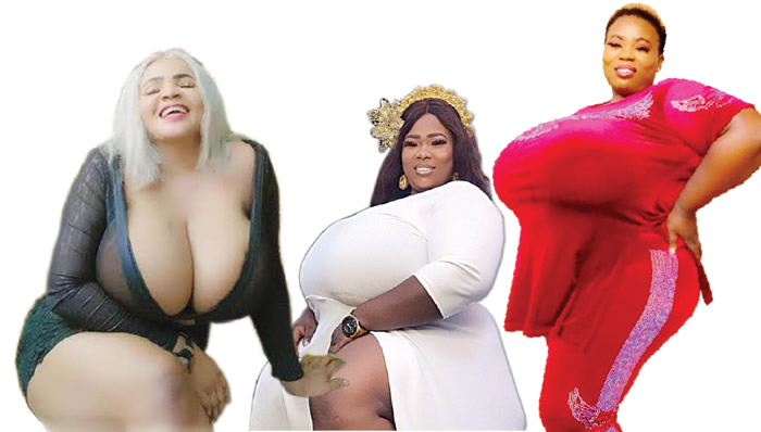 cristal porter recommends big black busty tits cody gledhill add big black busty tits photo
