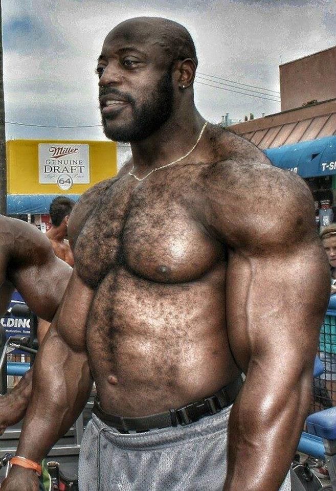 Big Hairy Men Nude backroom casting couch sammy david skyler porn
