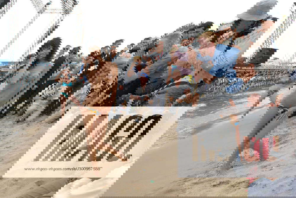 amy monarch recommends Riley reid mike adriano denise riggle add french beach naked photo