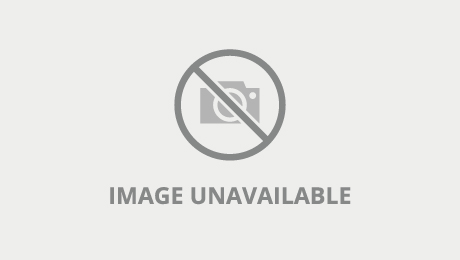 bradley metcalfe recommends Japan gyno porn allyson sanchez add Miss carlie joi photo