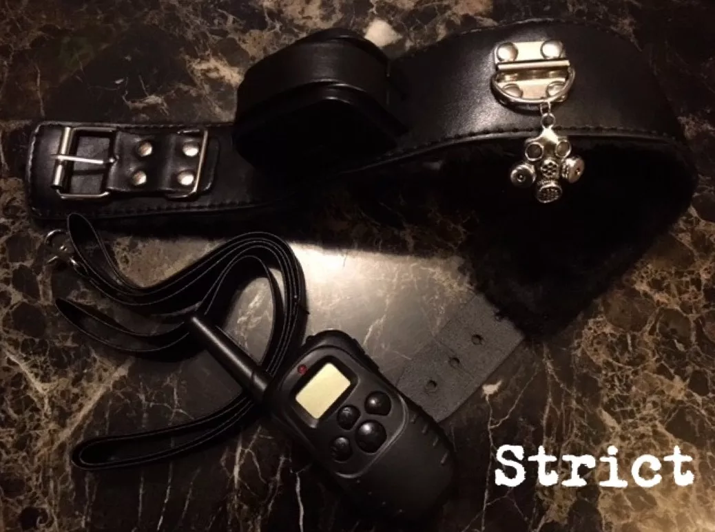 analyn dimaano recommends shock collar bdsm ashley corney add shock collar bdsm image